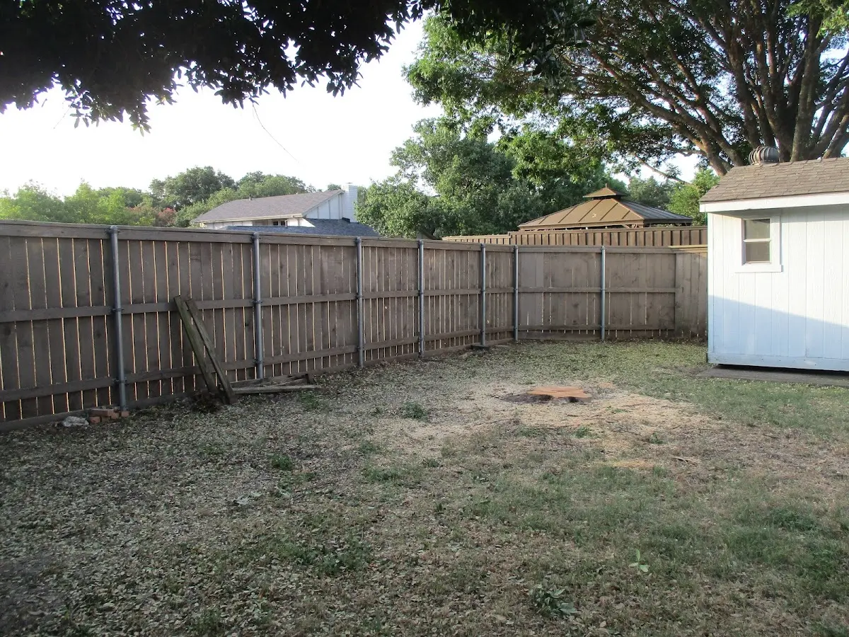 Cleared yard after professional tree removal in Ceres